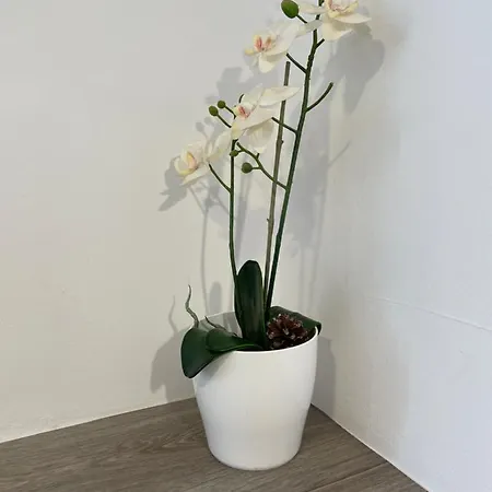 Apartamento Parque La Guina